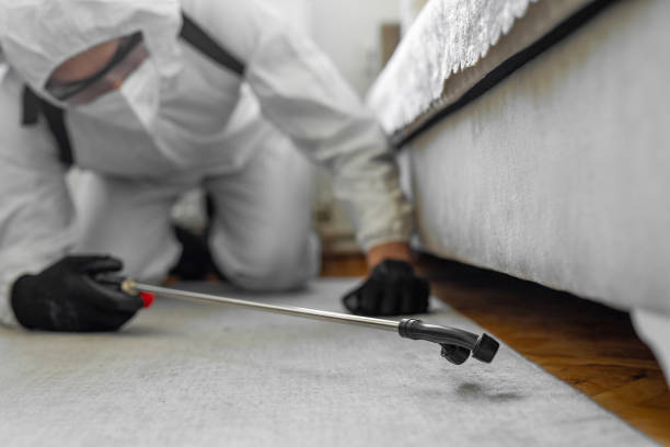Professional Ant Control technician working in Brush, CO