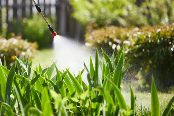 24/7 Emergency Wasp Removal experts in Brush, CO