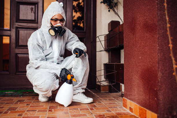Reliable Wasp Removal contractor in Brush, CO by Show Me Pest Control